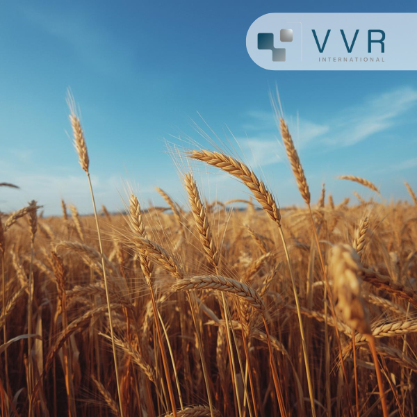 Agri-food in China: a market between dependence and diversification